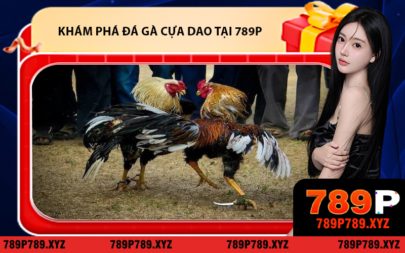 Khám phá hình thức đá gà cựa dao tại 789P