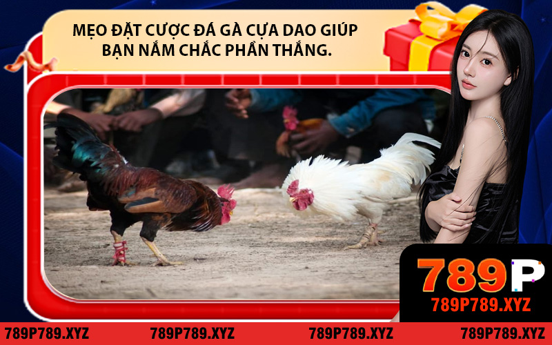 Mẹo đặt cược đá gà cựa dao giúp bạn nắm chắc phần thắng.