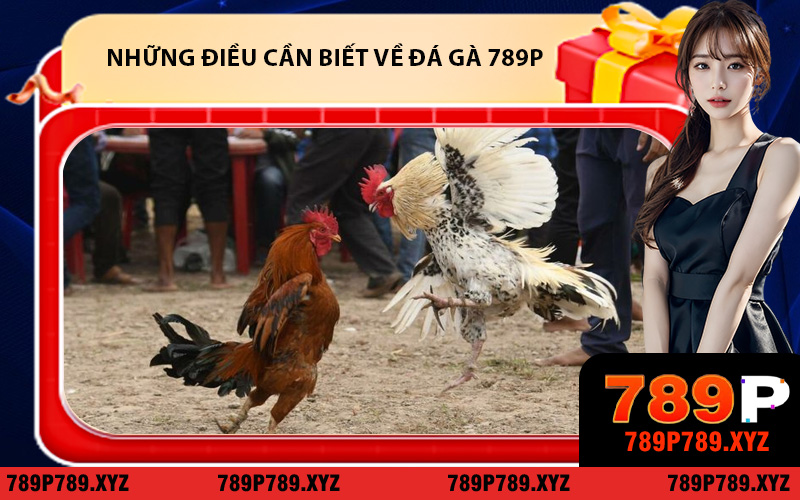 Những điều cần biết về đá gà 789P