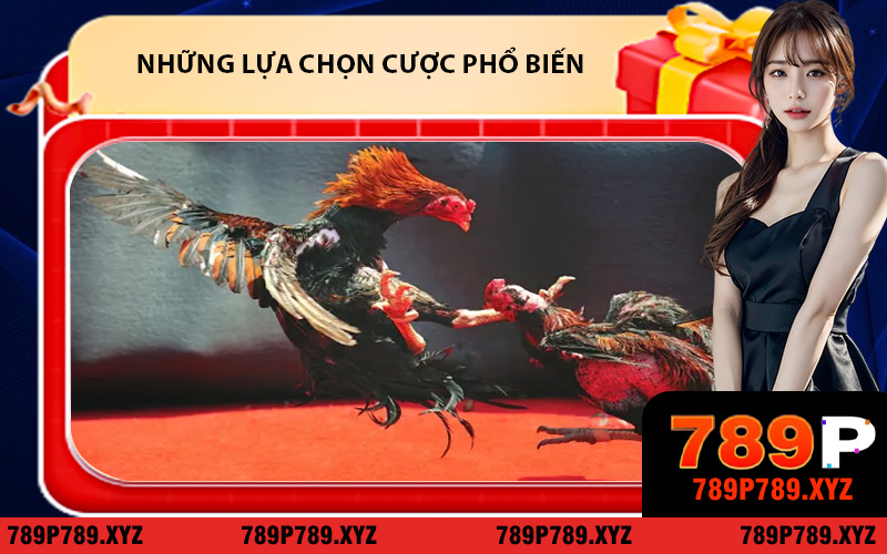 Những lựa chọn cược phổ biến tại nền tảng đá gà 789P
