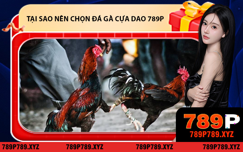 Tại sao bạn nên chọn đá gà cựa dao 789P ngay hôm nay?