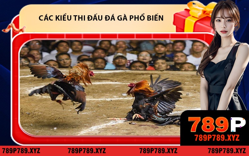 Tổng hợp các kiểu thi đấu đá gà phổ biến tại nền tảng 789P